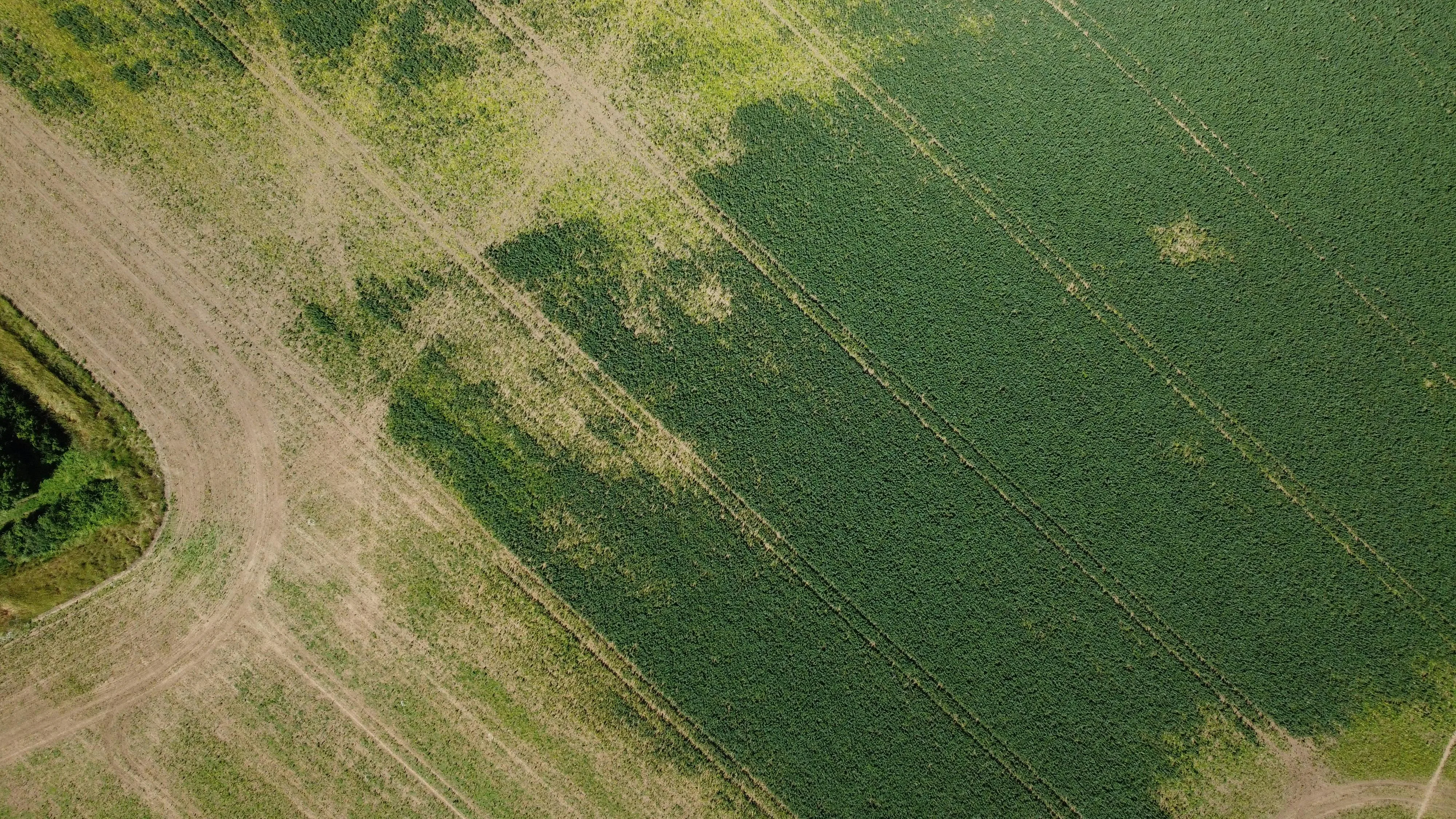 Agricultural land stretching to the horizon