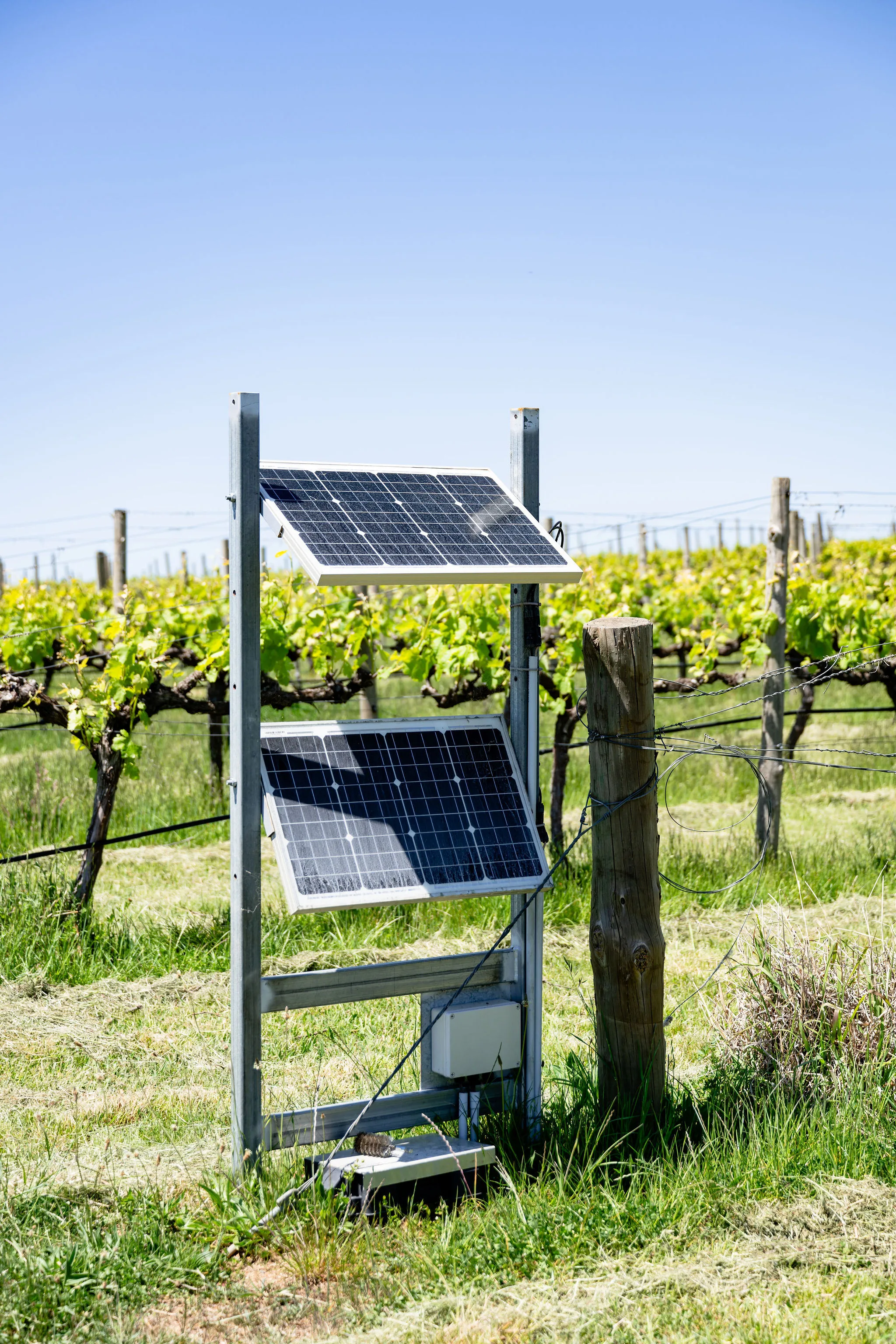 Farm operations at golden hour